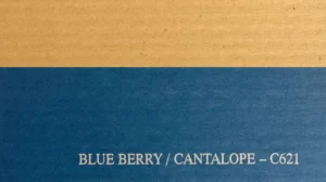 Blueberry / Cantaloupe