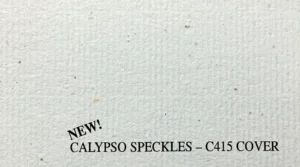 Speckled cardstock, off-white flecked paper, recycled-look paper