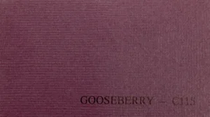 Gooseberry C115 premium cardstock 90lb cover sheets for scrapbooking