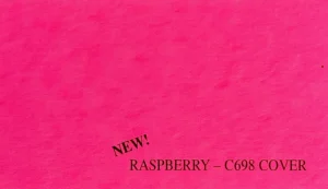 Raspberry C698 bright pink 10 pt cover stock paper 8.5 x 11 pack