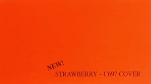 Strawberry C697 10 pt Red-Orange Cover Paper 8.5x11 10 Pack