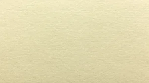 Close-up texture of Sunsilk C410 65 lb cream cardstock 8.5 x 11.