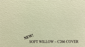 Soft Willow