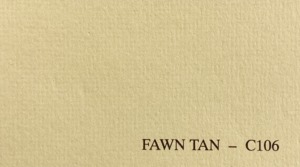 Fawn Tan