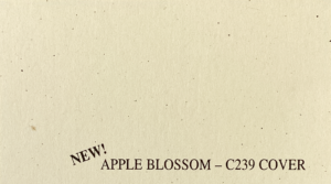 Beige speckled cover paper. Simple and rustic design with a vintage feel.