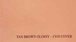 Tan Brown Glossy